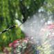 Аккумуляторный опрыскиватель 2в1 + насадки, 16л, Sprayer / Ранцевый электроопрыскиватель для сада 234576707 фото 6